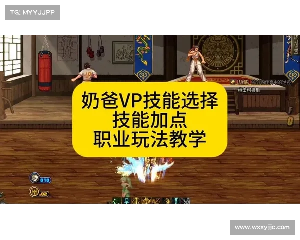 如何选择适合DNF奶爸的技能加点方案以最大化治疗输出与生存能力 如何选择适合DNF奶爸的技能加点方案以最大化治疗输出与生存能力